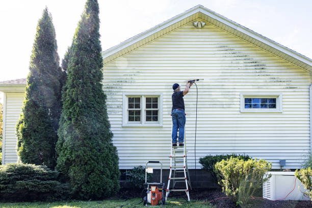 Best Gutter Cleaning  in Grosse Pointe Woods, MI